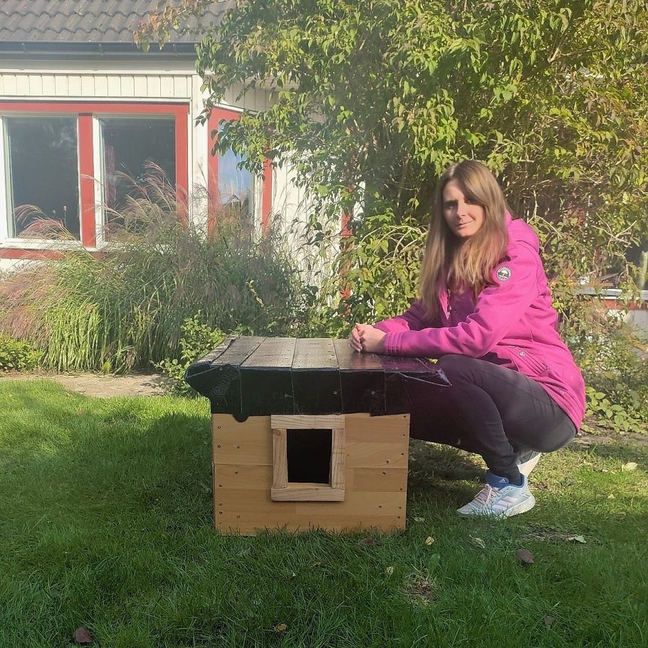 Bild zu Oktober-Updates - Streunerhilfe Plau