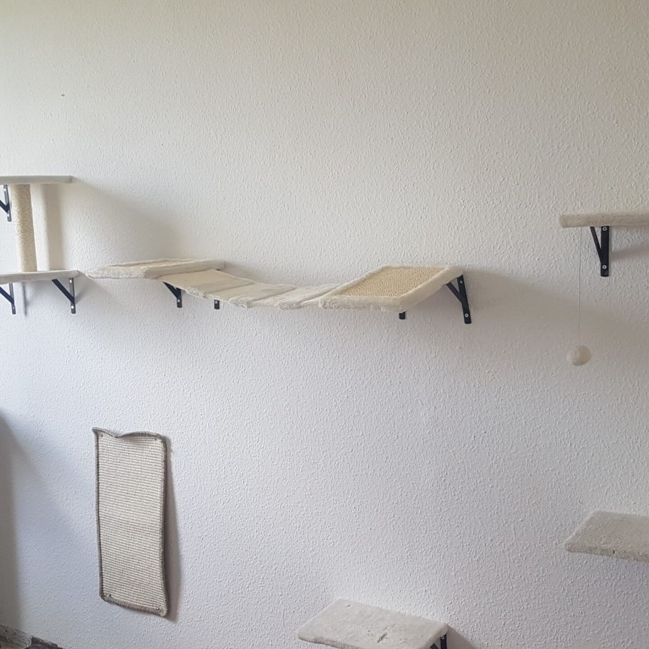 Bild zu Mai-Updates - Streunerhilfe Plau